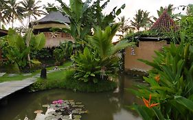 Dragonfly Village